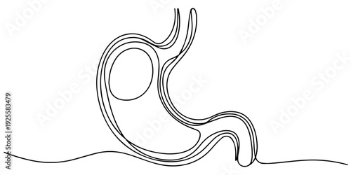 One continuous line drawing of stomach organ human gastrointestinal line art vector illustration, Human Liver One Line Art, Continuous Contour, Continuous one line drawing of Human liver anatomy