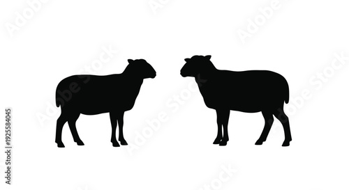 Two sheep standing side by side in a black silhouette