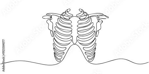 Continuous one line drawing of human rib cage. The ribs single line art vector illustration. Editable stroke, One line draws the anatomy of the chest. Human organ concept. Graphic vector illustration 