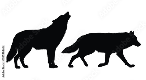 Two wolves in profile one howling at the moon a striking silhouette