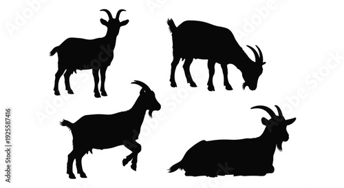 Four goats in various poses a striking black silhouette