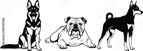 Black and white vector silhouette collection of diverse dog breeds including German Shepherd English Bulldog and Doberman Pinscher isolated on white background for pets design