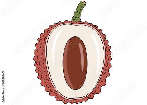 A cut open durian fruit showing flesh and seed.