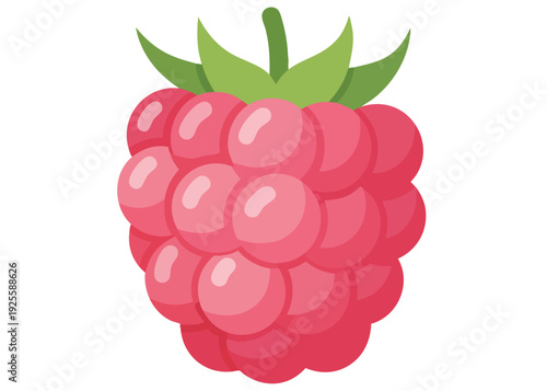A vibrant cartoon illustration of a raspberry.