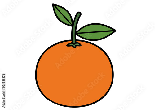 A simple illustration of an orange.