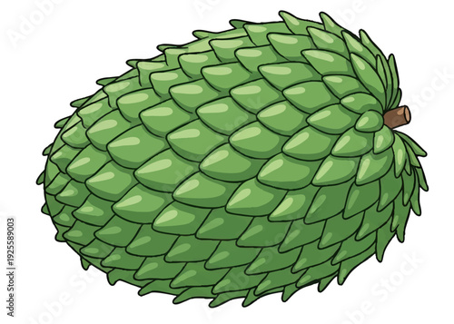 A vibrant green durian fruit illustration.