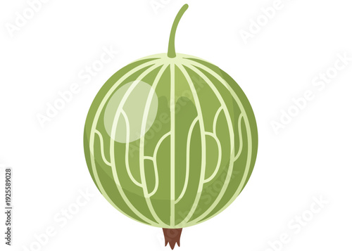 Green watermelon with white lines.