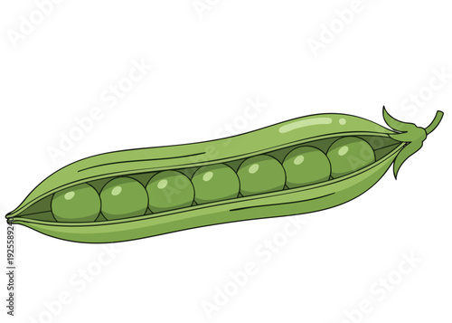 Green peas in a pea pod, fresh and vibrant illustration.