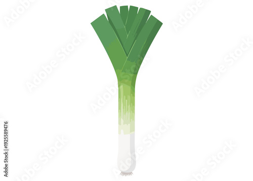 Green plastic straw with gradient effect on white background.