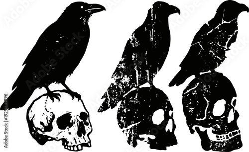 Silhouettes of crows perched on human skulls in distressed vintage monochrome illustration