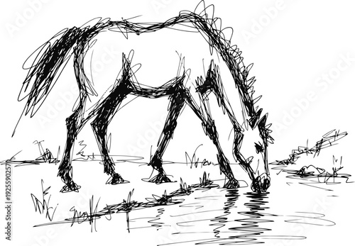 Sketch of a horse drinking water from a river hand drawn wild animal isolated on white background