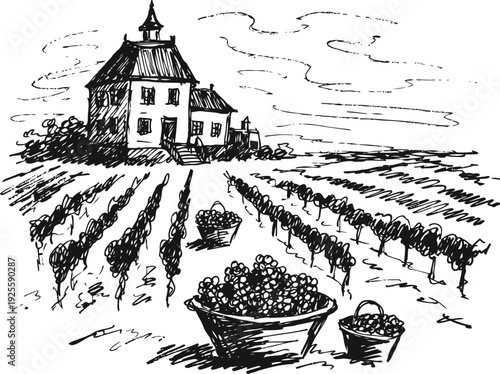 Vintage vineyard landscape with grape harvest baskets and rustic farmhouse scene