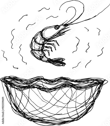 Hand drawn sketch of shrimp jumping above fishing net in ocean water waves
