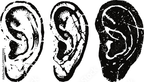 three vintage human ear illustrations in black and white with textured shading