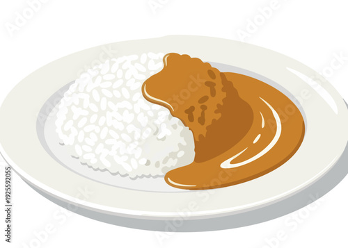 A simple white plate with a serving of white rice and brown curry sauce.