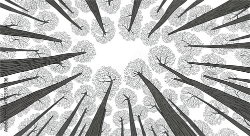 Black and white illustration of tree trunks and leaves radiating outward from a central point against a white background.