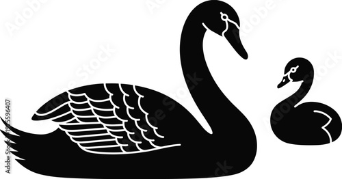 Silhouette of a mother swan and cygnet on a white background baby swan bird