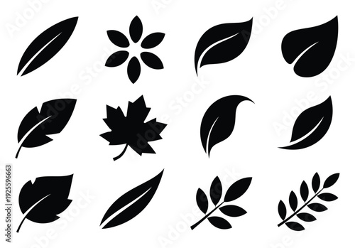Collection of Black Leaf Silhouettes on White Background
