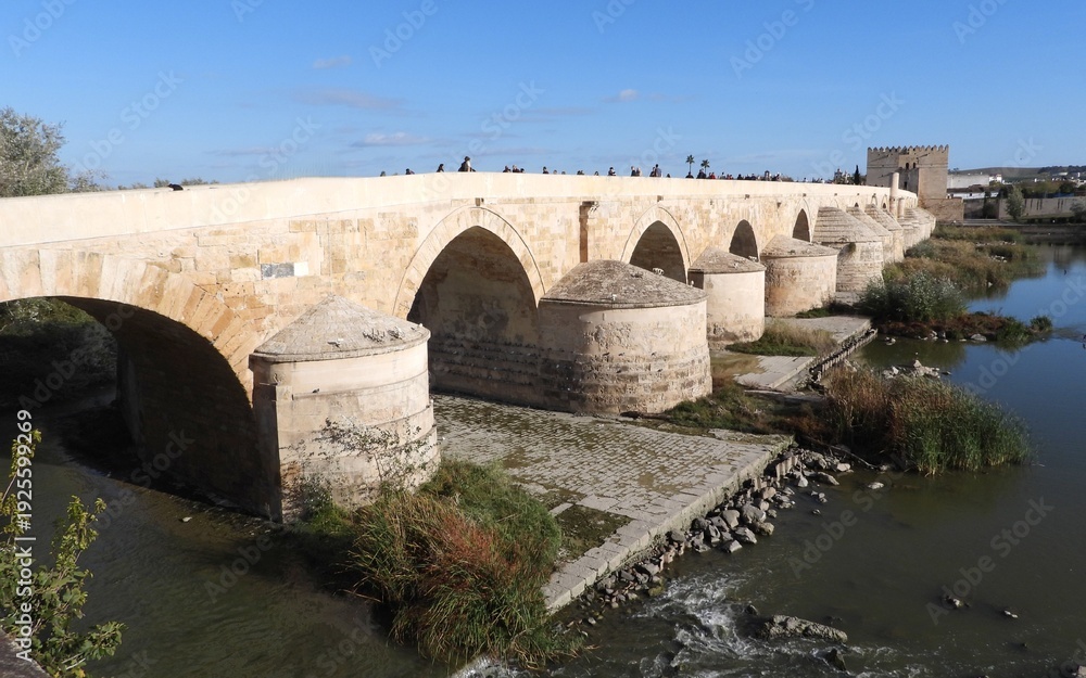 Fototapeta premium Roman Bridge of Cordoba, Andalusia, Spain