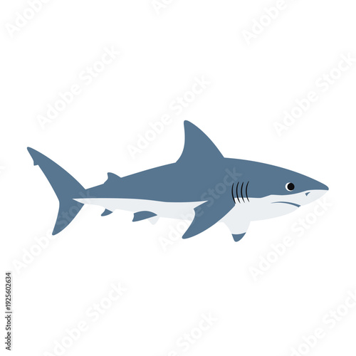 Cartoon shark swimming flat design illustration on a white background