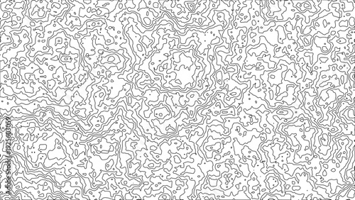 Black and white abstract contour lines form an intricate design on a minimalist background