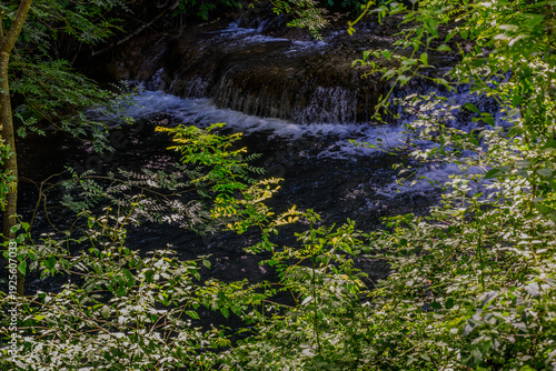 Schilderij op canvas Près de la cascade de Sillans-la-Cascade, Var, Provence, France