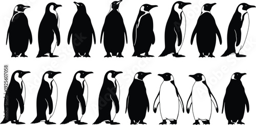 Penguin silhouette collection, bird vector set, Antarctic wildlife illustration, black white penguin design, nature art concept, penguin posture artwork