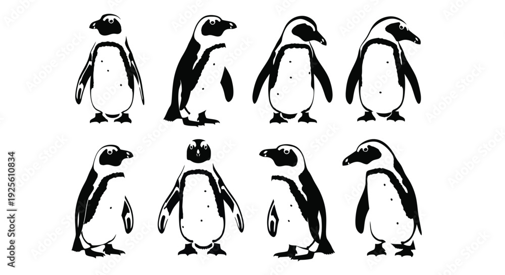 Fototapeta premium Eight charming vector graphic illustrations of penguins in black and white, showcasing various poses.