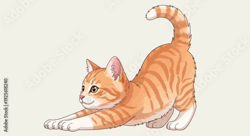 Orange Tabby Cat Stretching and Playing.