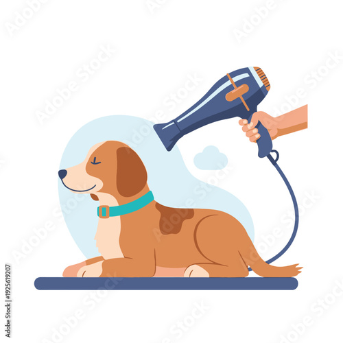 Happy dog drying with hairdryer after bath, grooming, pet care, salon, clean, hygiene