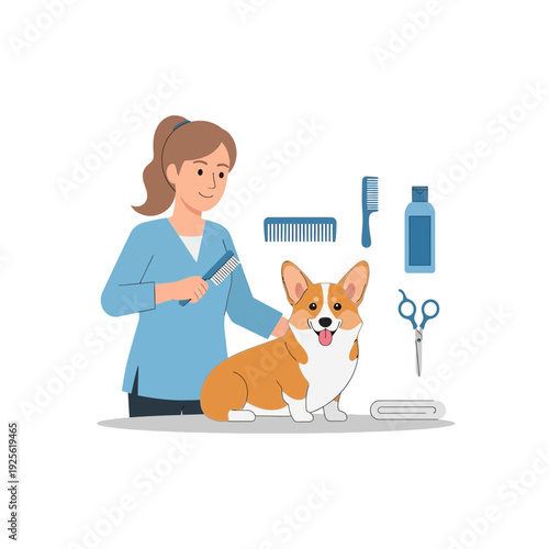Professional groomer brushing happy corgi dog with grooming tools and supplies