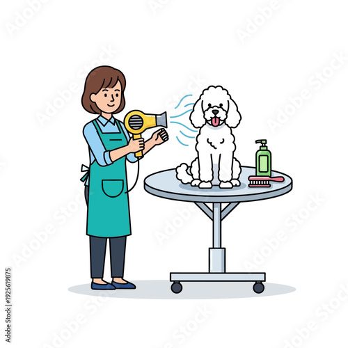 Groomer drying white poodle on table with hairdryer, pet care, grooming salon, happy dog