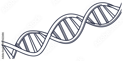 The iconic double helix structure of deoxyribonucleic acid (dna) strand