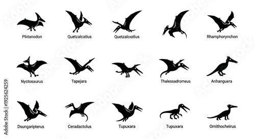 Collection of Various Pterosaur Silhouettes.