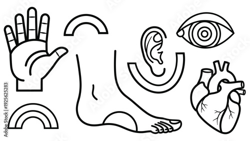 Human Body Parts Illustration Hand Drawn.