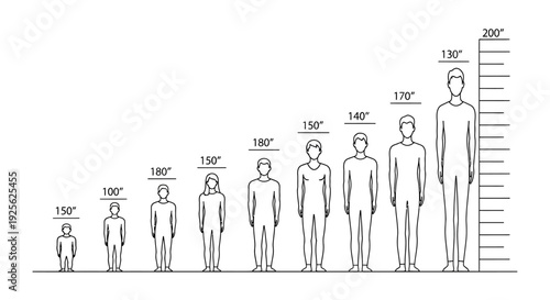 Human Figures of Different Heights Illustrated.