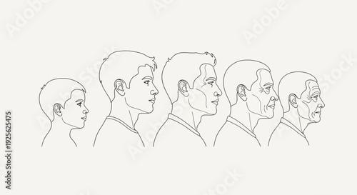 Human Head Profiles at Different Ages.