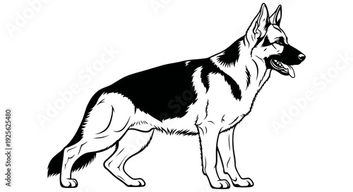 Black and white illustration of a german shepherd dog standing facing right with its mouth open