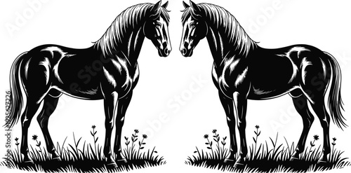Two black silhouettes of majestic horses standing in grass with flowers powerful