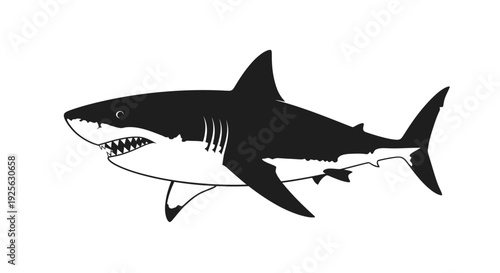Black and White Silhouette of Shark.