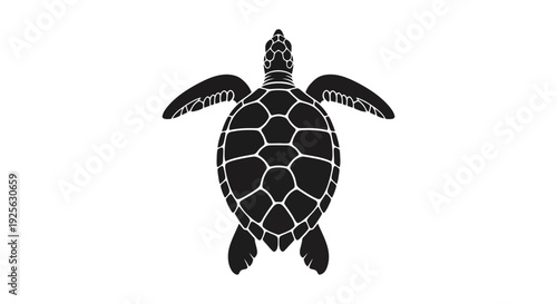 Black and White Sea Turtle Illustration.