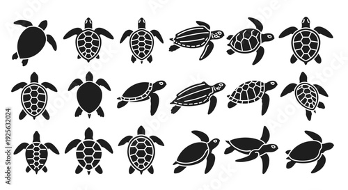 Collection of Various Turtle Silhouettes and Outlines.