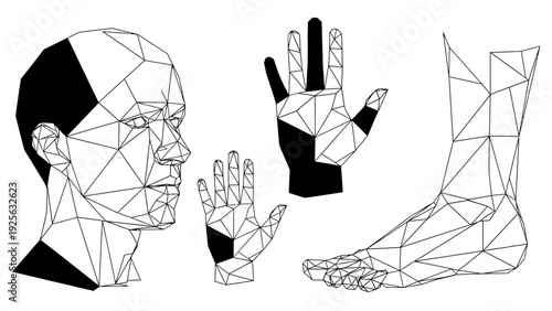 Geometric Human Body Parts Illustration.