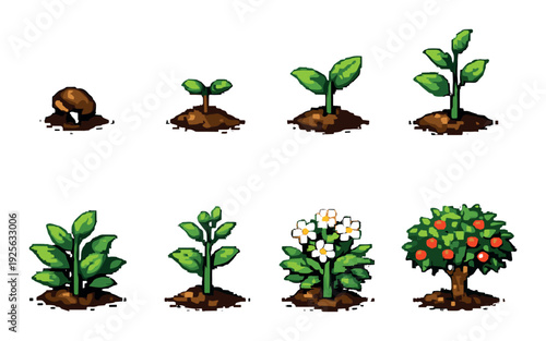 Plant growth stages illustrated on muted green background