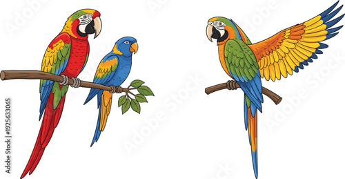 Colorful Parrot Macaw Birds Perched on Branch with Spread Wings Tropical Wildlife Vector Illustration Set