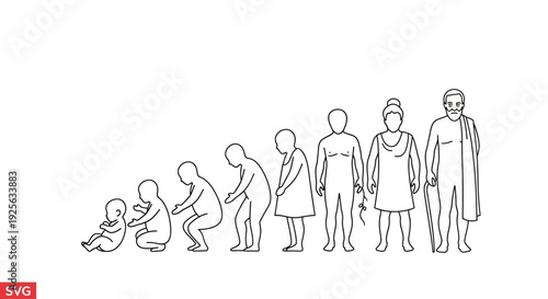 Human Evolution Stages Illustrated in Simple Line Art.