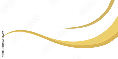 Elegant Golden Wave Abstract Background on Transparent White