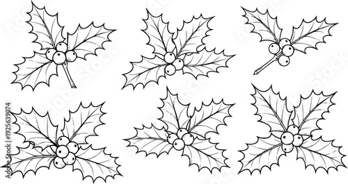 Hand Drawn Black Outline Holly Sprigs with Berries White Background christmas berry