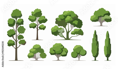 Green forest trees elevation vector illustration for architectural landscape design