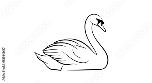 Elegant Swan Illustration, Black and White Outline Drawing of a Graceful Water Bird, Minimalist Line Art Graphic